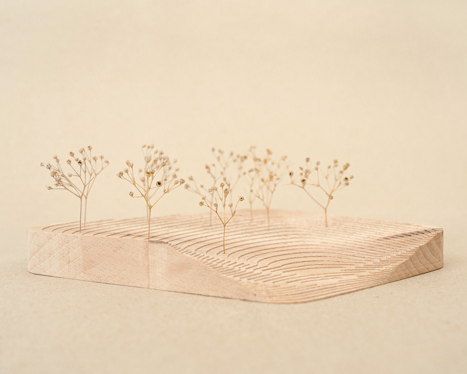 4. kvadrant Vítězného náměstí